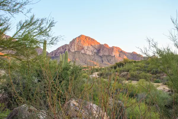 Oro Valley, AZ 85737,1530 E Cliff Dweller Drive