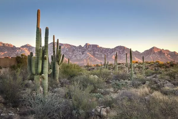 Oro Valley, AZ 85755,14008 N Honey Tree Place