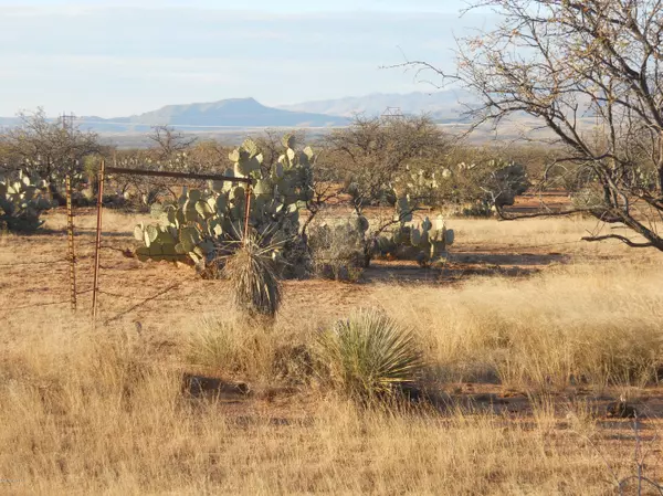 Benson, AZ 85602,24102 Navajo Trail