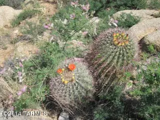 Vail, AZ 85641,11150 E Camino Aurelia  #A&B