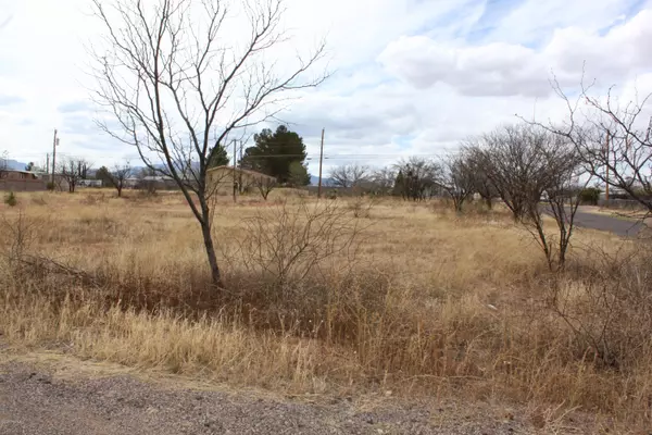 Sierra Vista, AZ 85635,512 N Central Avenue #7