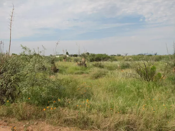 Benson, AZ 85602,Cochise Lane