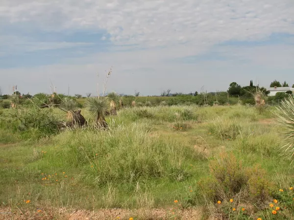 Cochise Lane, Benson, AZ 85602