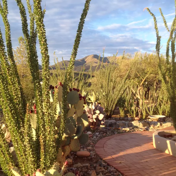 Vail, AZ 85641,13400 E Deer Mountain Trail