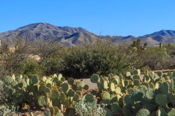 Vail, AZ 85641,8995 E Mulberry Springs Place