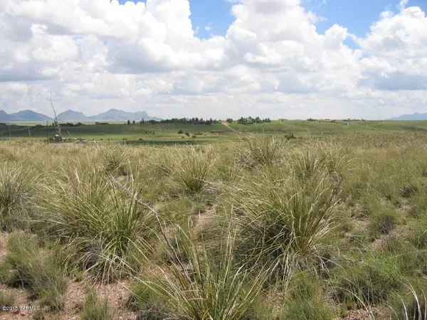 Sonoita, AZ 85637,9 S Ranch Oasis Drive