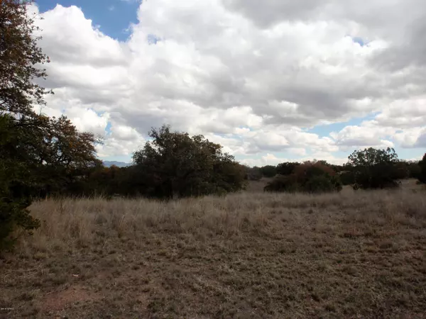 Sonoita, AZ 85637,Lot 5 Windmill Road