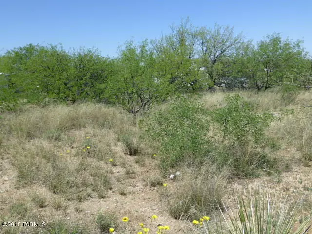 Benson, AZ 85602,Citrus Lane