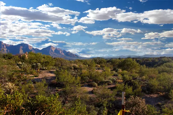 1382 E Placita Meseta Dorada, Oro Valley, AZ 85755