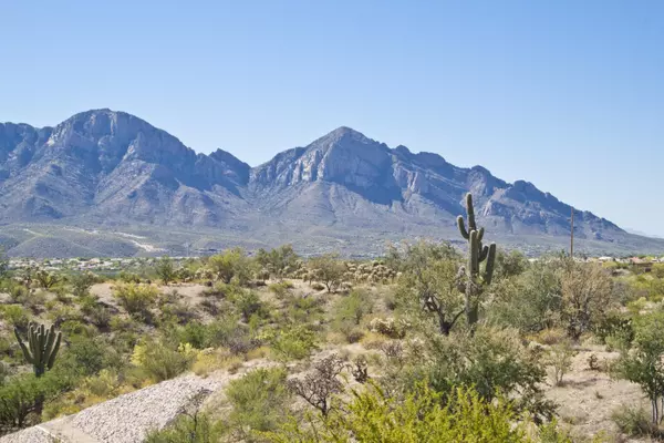 Oro Valley, AZ 85755,472 E Honeybee Preserve Way