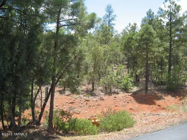 4241 W Shaggy Bark Road #262, Show Low, AZ 85901