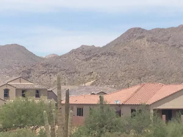 Marana, AZ 85653,3376 W Fledgling Drive