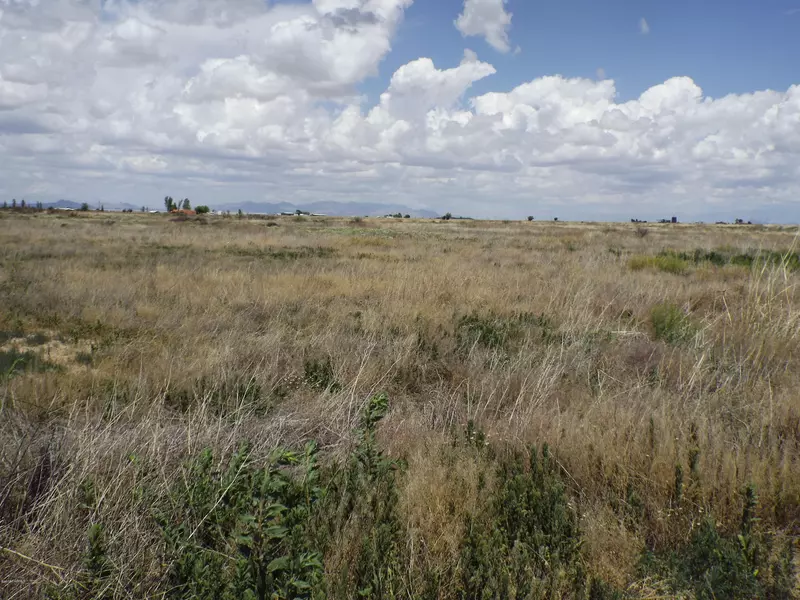 640 Acres Shelton Road, Willcox, AZ 85643