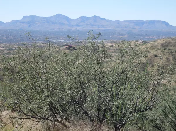 Rio Rico, AZ 85648,Lot #22 CALLE COCO