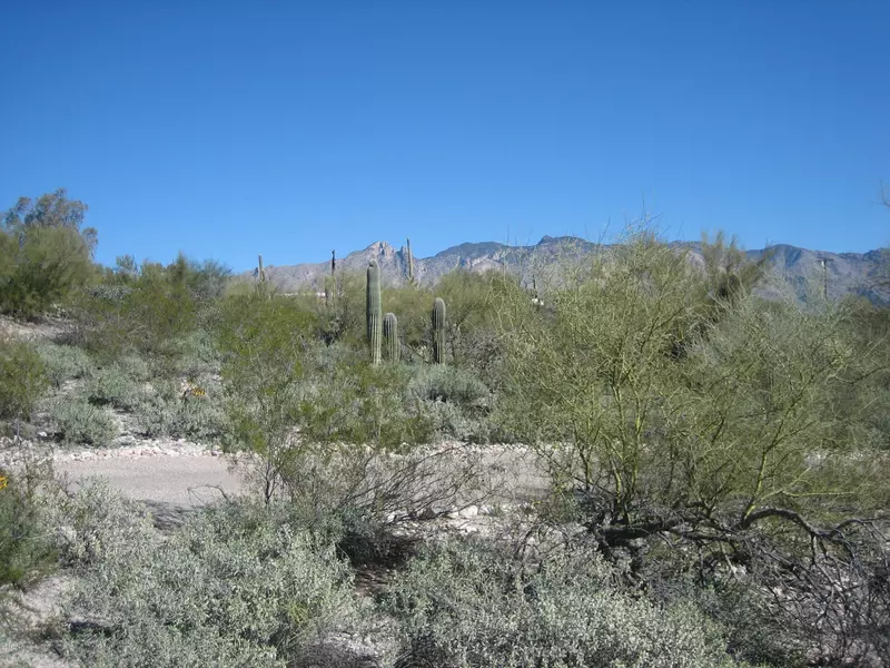 000 N Camino Ocotillo  #224, Tucson, AZ 85718