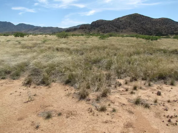 W Upton Street, Pearce, AZ 85625