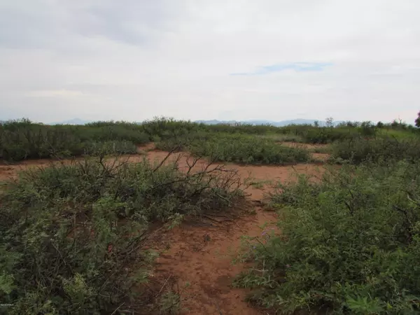 Douglas, AZ 85607,5AC TBD N Kings Hwy. (006F)