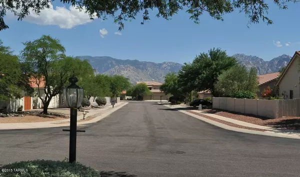 Oro Valley, AZ 85755,12521 N Forest Lake Way