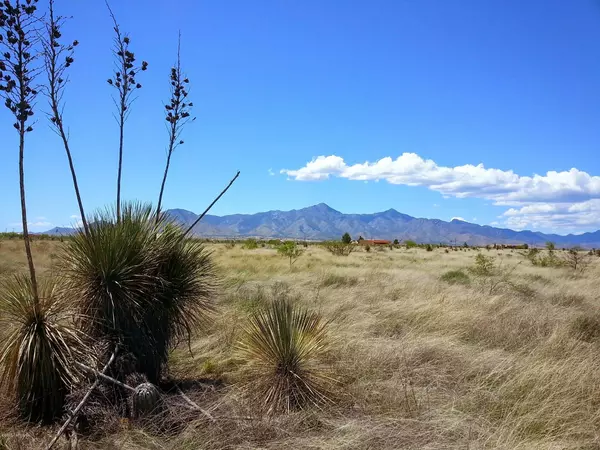 E Avenida Jicarilla Avenue, Hereford, AZ 85615