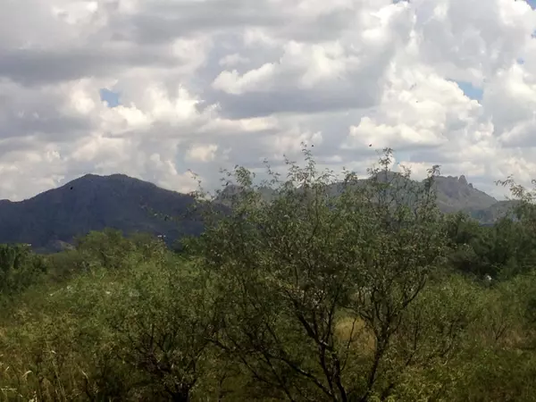 TBD PENNSYLVANIA Avenue #14, 16, Patagonia, AZ 85624