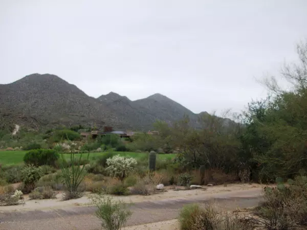 14011 N Dove Canyon Pass, Marana, AZ 85658