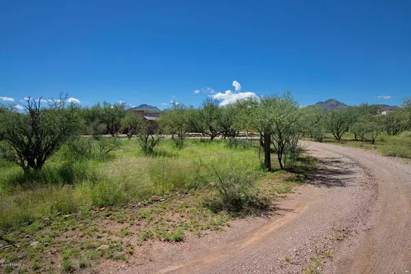 Tubac, AZ 85646,4 Single Tree Lane