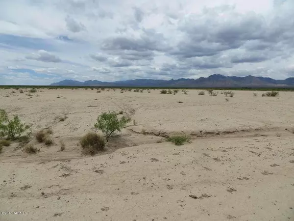 TBD Coyote Song, San Simon, AZ 85632