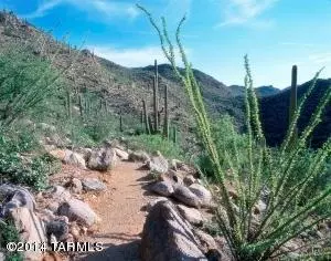 Marana, AZ 85658,6430 W Whispering Windmill Lane