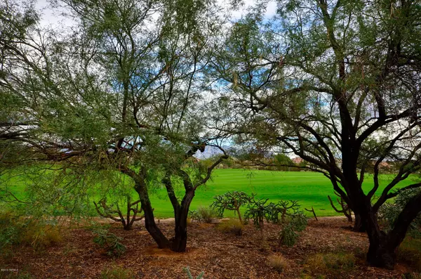 13094 N Desert Flora Lane, Marana, AZ 85658