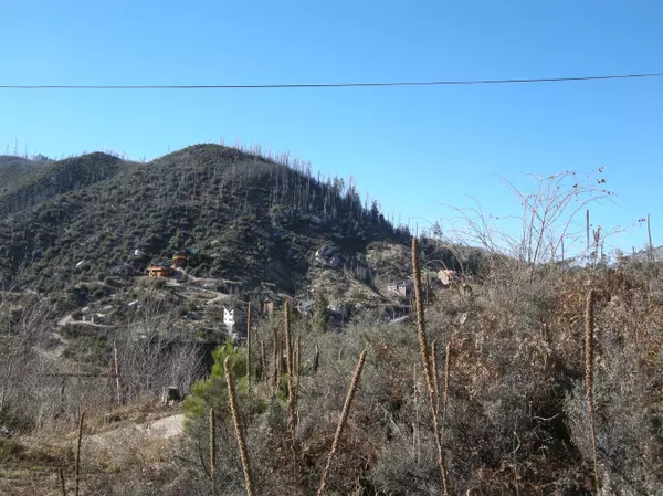 Mt. Lemmon, AZ 85619,12788 N Ray Av Avenue