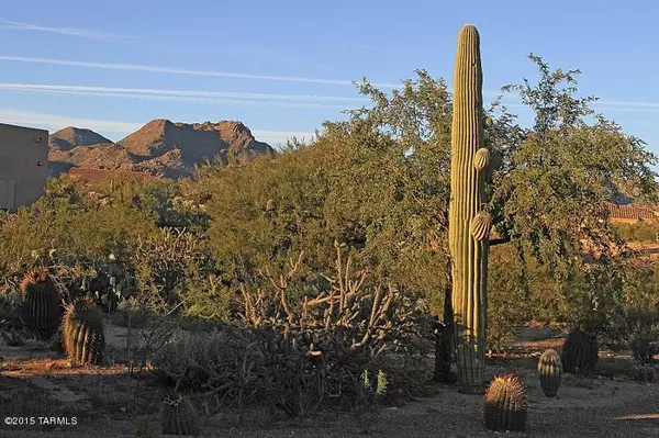 Marana, AZ 85658,12475 N Distant Wash Drive