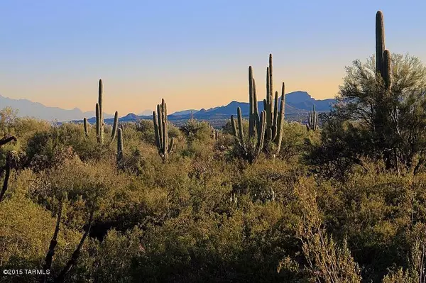 Marana, AZ 85658,12475 N Distant Wash Drive