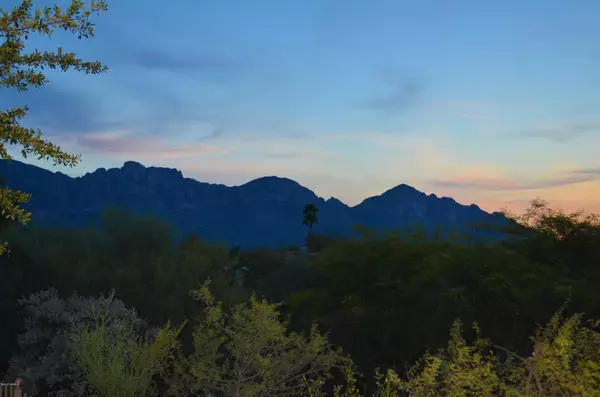 Oro Valley, AZ 85755,14631 N Flagstone Drive