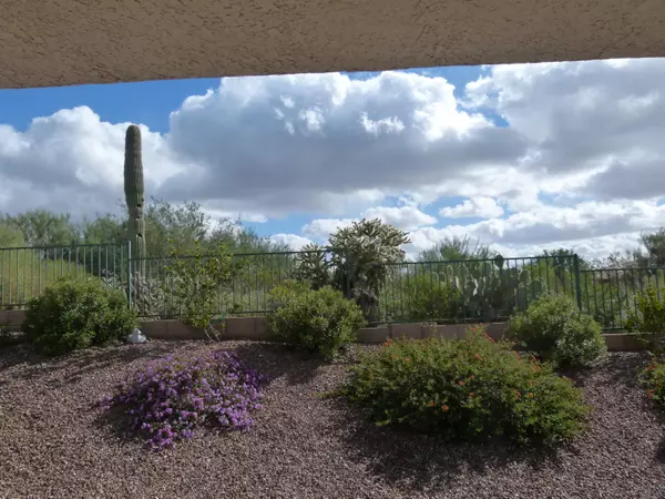 Marana, AZ 85658,5354 W Arid Canyon Drive