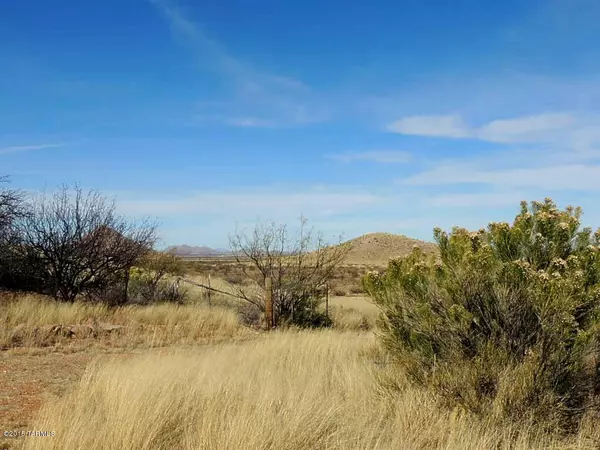 Pearce, AZ 85625,6499 E Buckaroo Lane