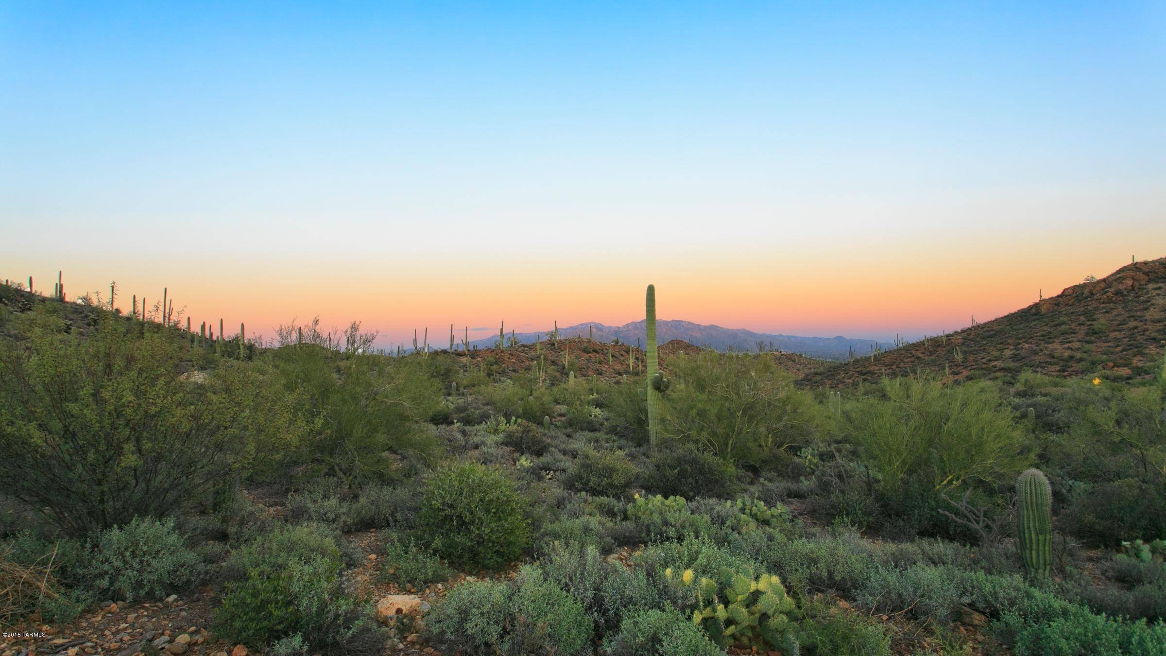 4462 N Adobe View Court, Tucson, AZ 85745