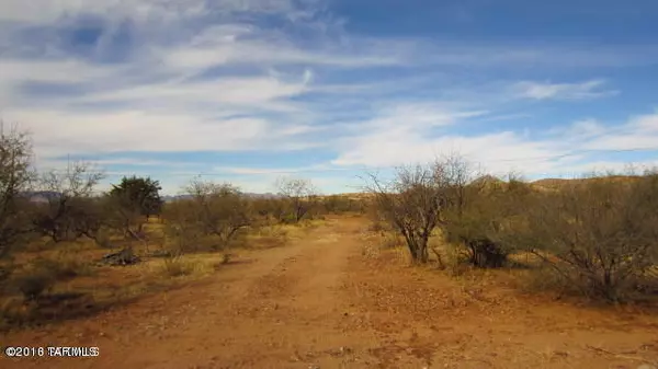 Rio Rico, AZ 85648,159 Sonoita Creek