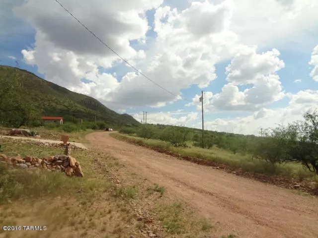 Rio Rico, AZ 85648,1811 Circulo Tortuga