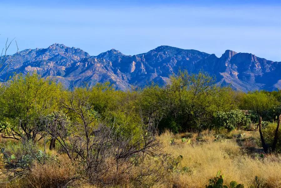 14094 N Hohokam Village Place #56, Oro Valley, AZ 85755