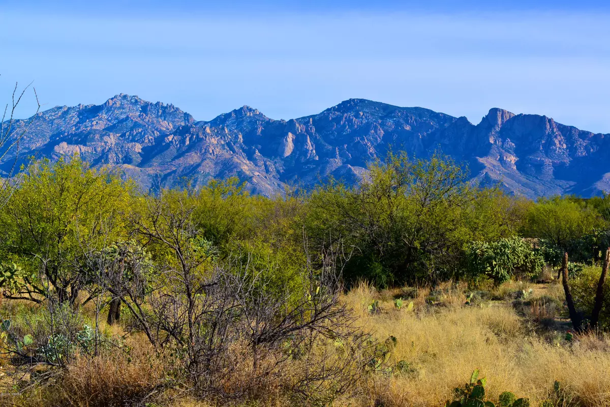 Oro Valley, AZ 85755,14094 N Hohokam Village Place #56