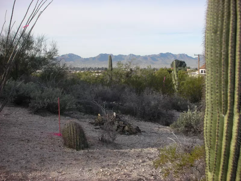 E Yvon Drive, Tucson, AZ 85704