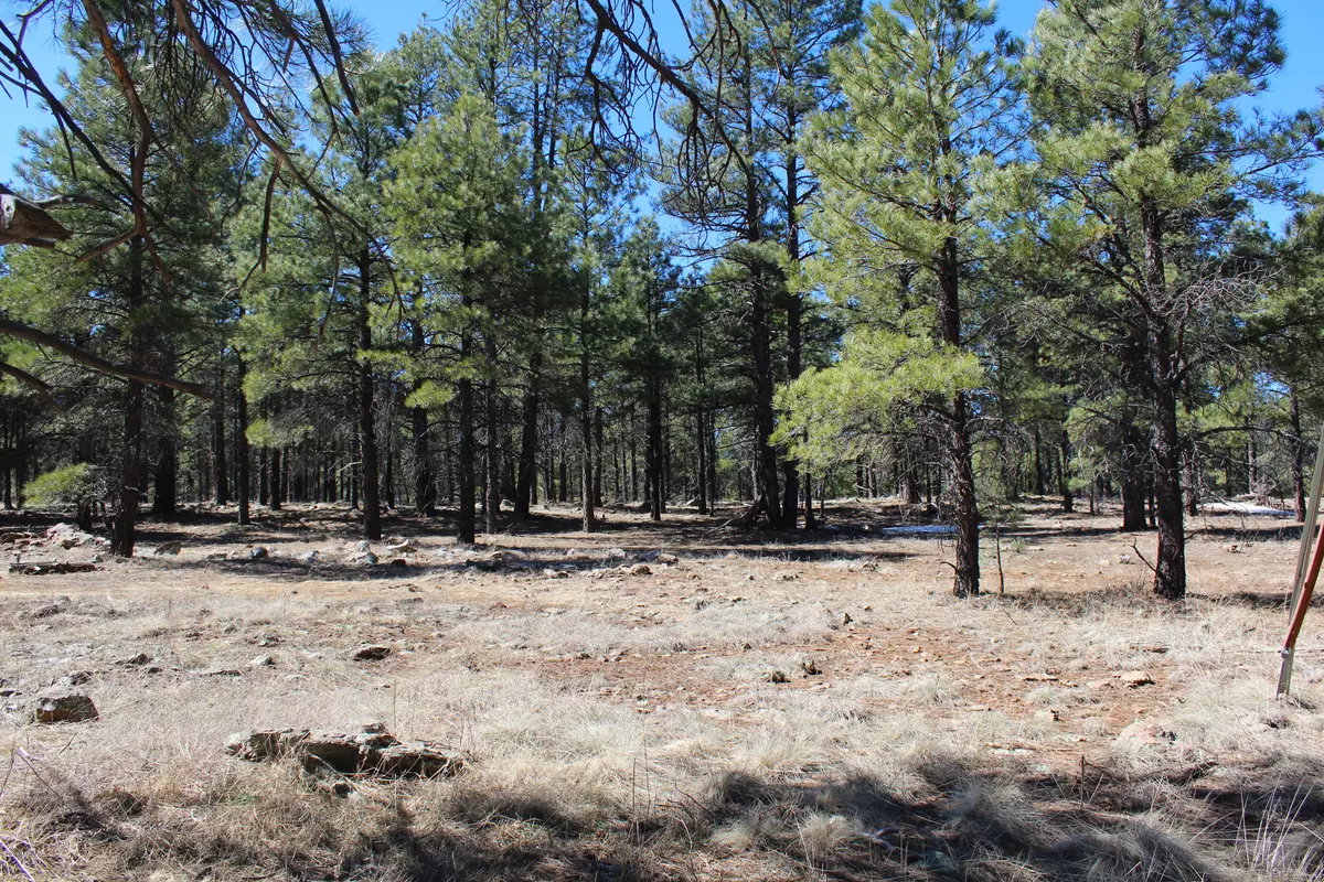 Flagstaff, AZ 86001,3710 Iroquois