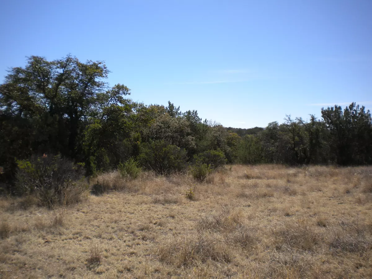 Sonoita, AZ 85637,00 Tunnel Springs Ranch  #2