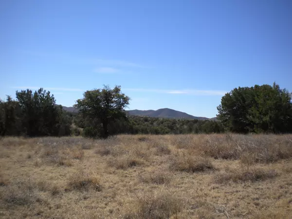 Sonoita, AZ 85637,00 Tunnel Springs Ranch  #2