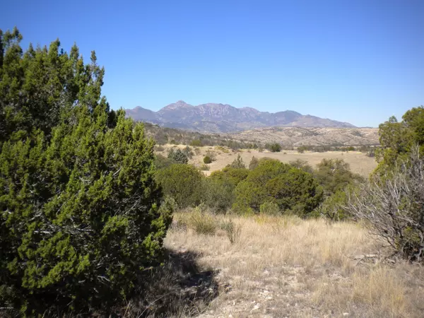 Sonoita, AZ 85637,00 Tunnel Springs Ranch  #2