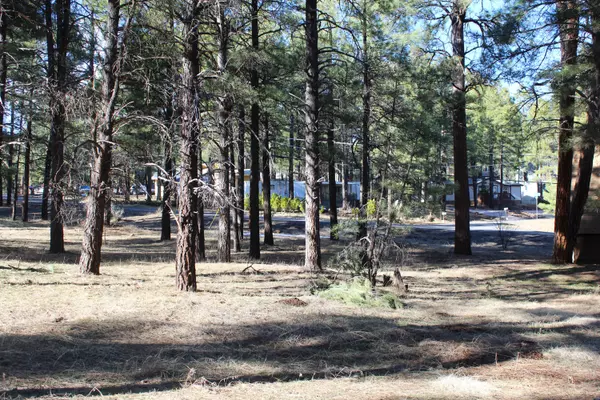 2959 Moki Ovi, Flagstaff, AZ 86001