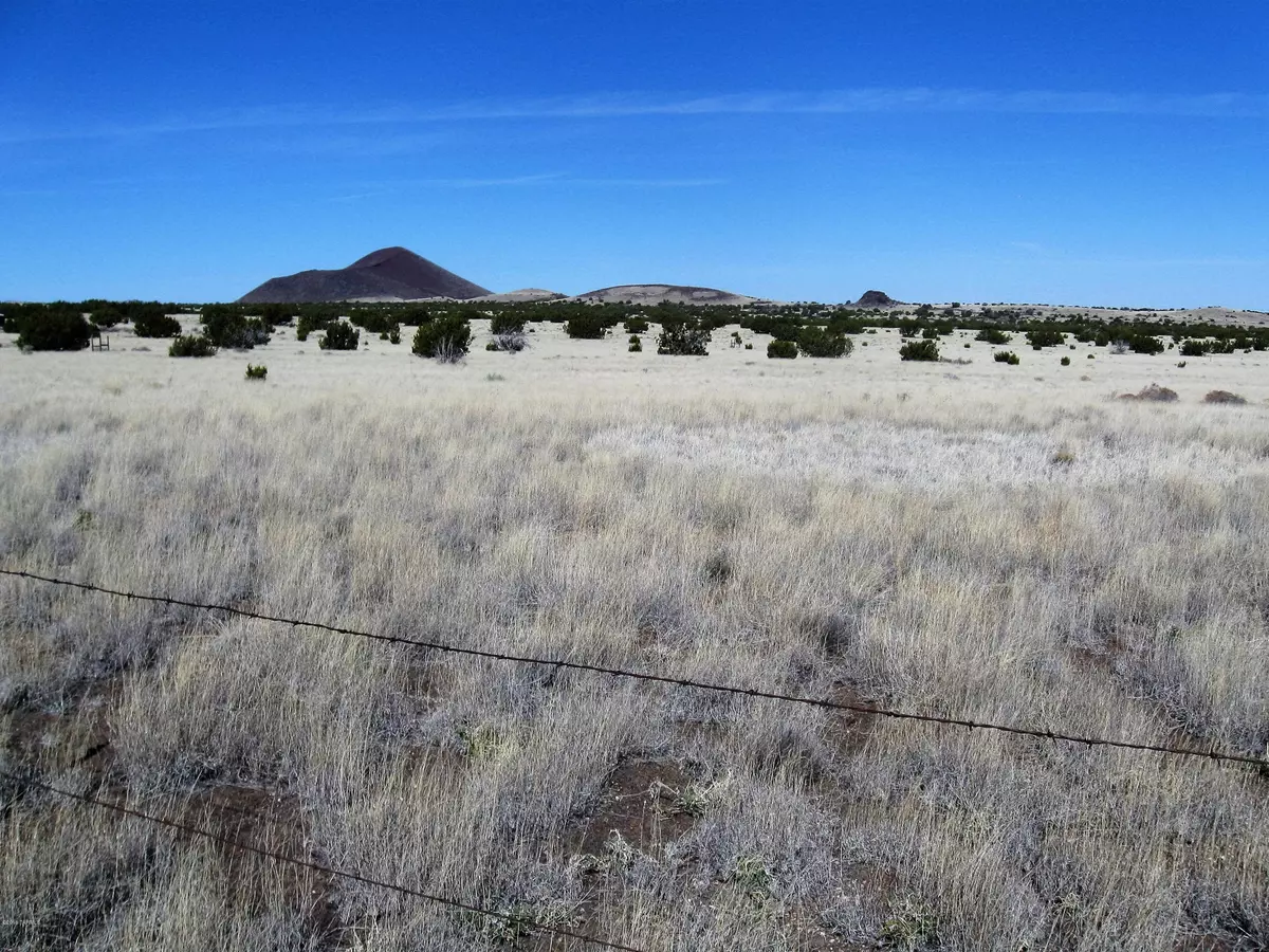 Flagstaff, AZ 86004,42-018-D Alpine Ranches