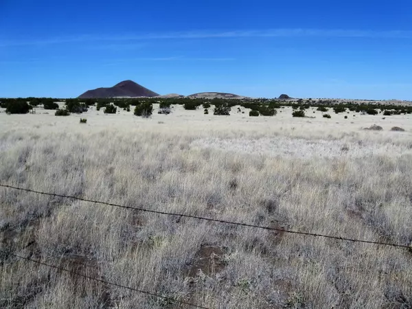 42-018-D Alpine Ranches, Flagstaff, AZ 86004