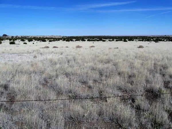 Flagstaff, AZ 86004,42-018-D Alpine Ranches