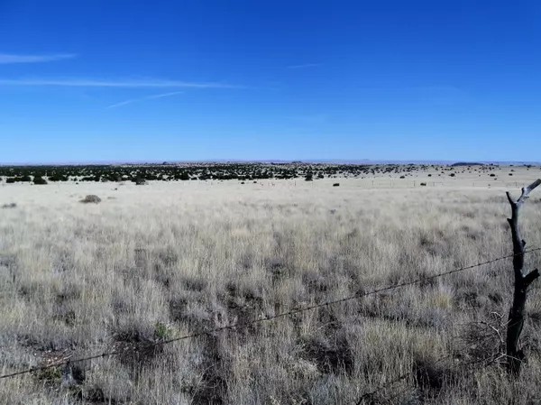 Flagstaff, AZ 86004,42-018-D Alpine Ranches